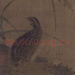 宋代《鹌鹑图》国画花鸟作品图片鉴赏