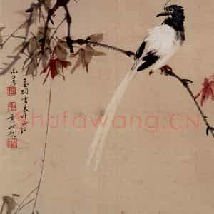 50年代 蒋凤白《玉羽雪衣叶正红》国画花鸟作品图片鉴赏