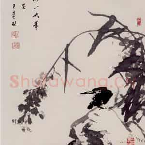 60年代 蒋凤白《芦花翠鸟》国画花鸟作品图片鉴赏