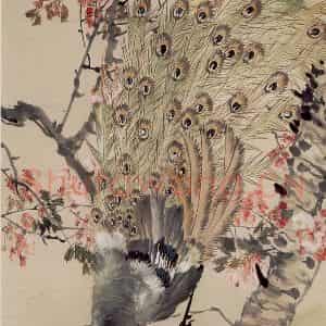 70年代 蒋凤白《樱花孔雀》国画花鸟作品图片鉴赏