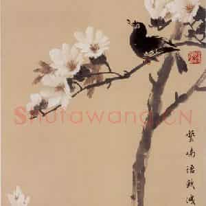 70年代 蒋凤白《八哥玉兰》国画花鸟作品图片鉴赏