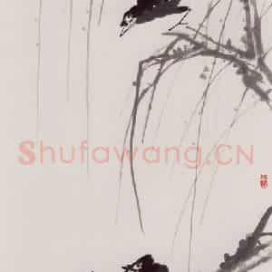 70年代 蒋凤白《八哥》国画花鸟作品图片鉴赏