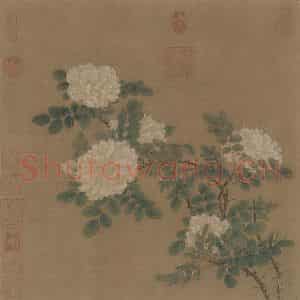 宋代 马远《白蔷薇图》国画花鸟作品图片鉴赏