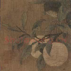 宋代 马麟《橘绿图》国画综合作品图片鉴赏