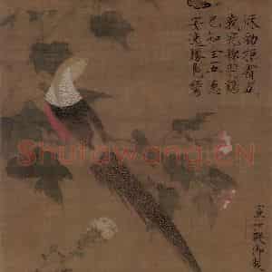 宋代 赵佶《芙蓉锦鸡图》国画花鸟作品图片鉴赏