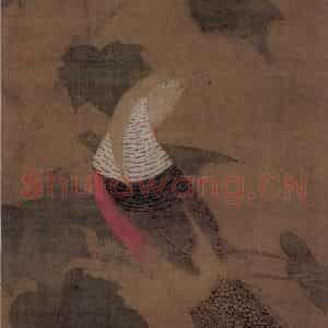 宋代 赵佶《芙蓉锦鸡图》国画花鸟作品图片鉴赏