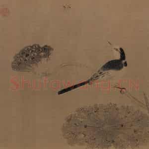 宋朝《疏荷沙鸟图》国画花鸟作品图片鉴赏