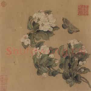宋朝《海棠蛱蝶图》国画综合作品图片鉴赏
