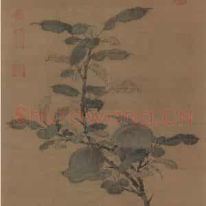 宋朝《折枝果图》国画综合作品图片鉴赏