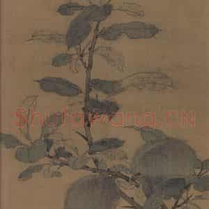 宋朝《折枝果图》国画综合作品图片鉴赏