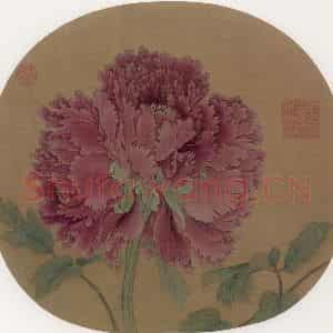 宋朝《牡丹图》国画花鸟作品图片鉴赏