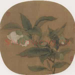 宋朝《夜合花图》国画花鸟作品图片鉴赏