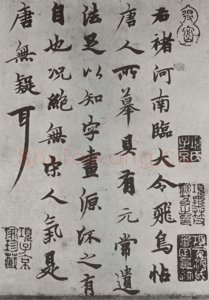 唐 褚遂良 《临王献之飞鸟帖墨迹及题跋》局部六 书法作品