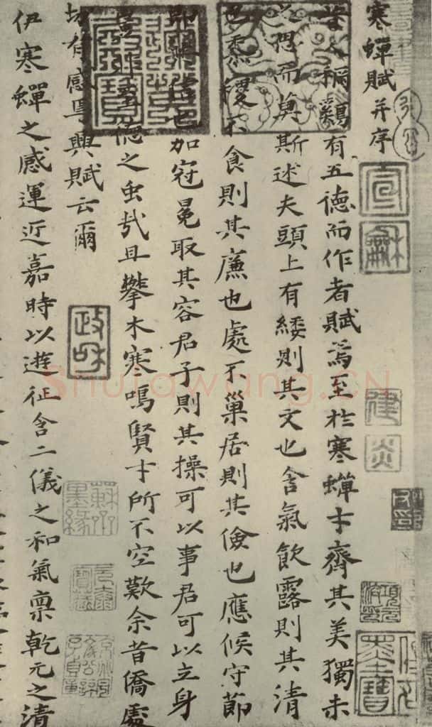 宋朝 蔡襄 四书家蔡襄楷书晋陆云寒蝉赋之一 书法作品