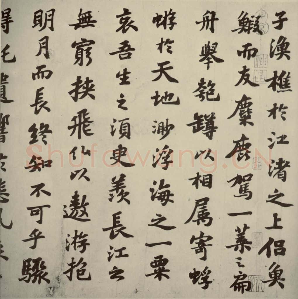 宋代 苏轼 《前赤壁赋》之八 书法作品