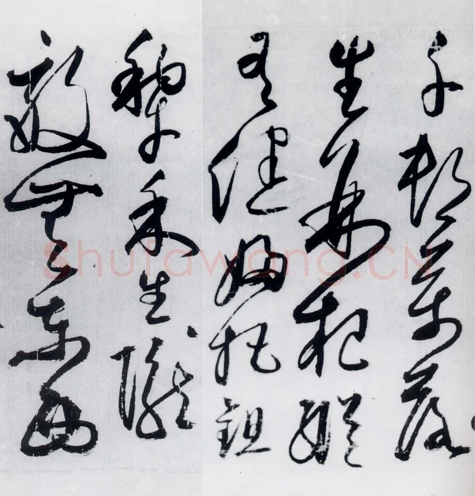 明代 丰坊 丰坊书杜甫哀王孙等二首(13) 书法作品