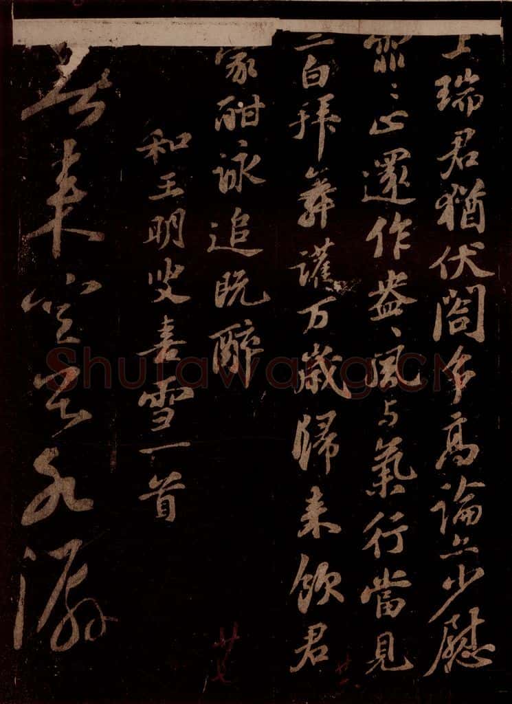 宋 苏轼 题梅花之一之一 书法作品