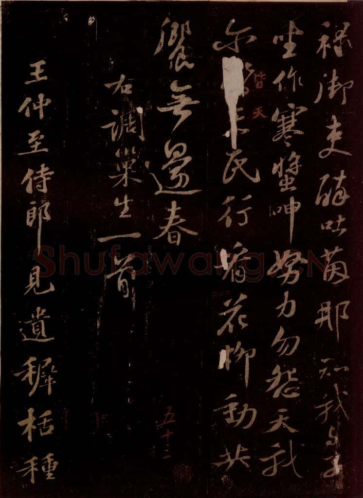 宋 苏轼 王仲至侍郎见遗穉栝种之仪曹北垣下今百余日矣,蔚然有生意,喜而赋诗呈淳父内翰 之一 书法作品