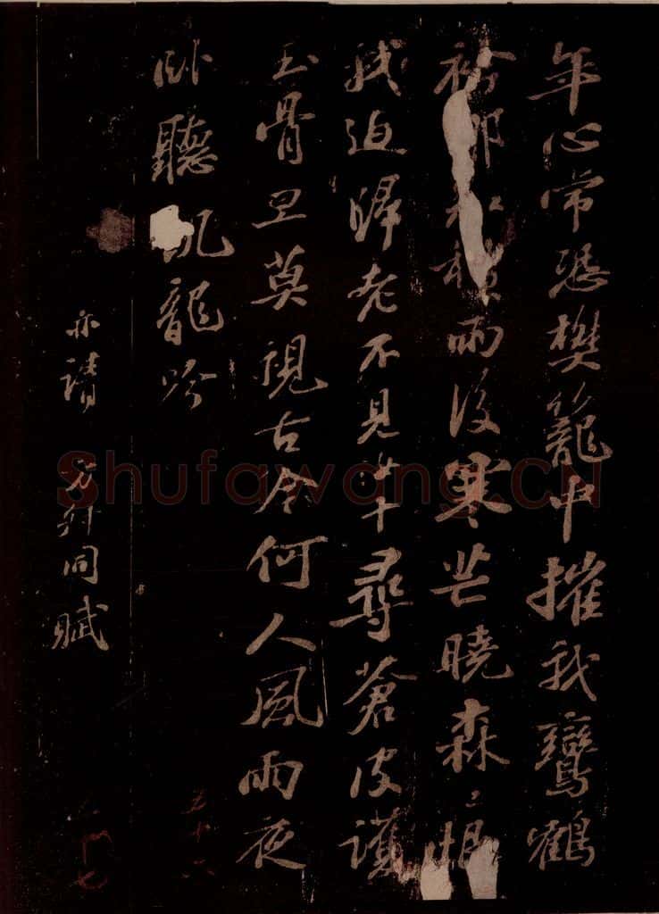 宋 苏轼 王仲至侍郎见遗穉栝种之仪曹北垣下今百余日矣，蔚然有生意，喜而赋诗呈淳父内翰 之四 书法作品
