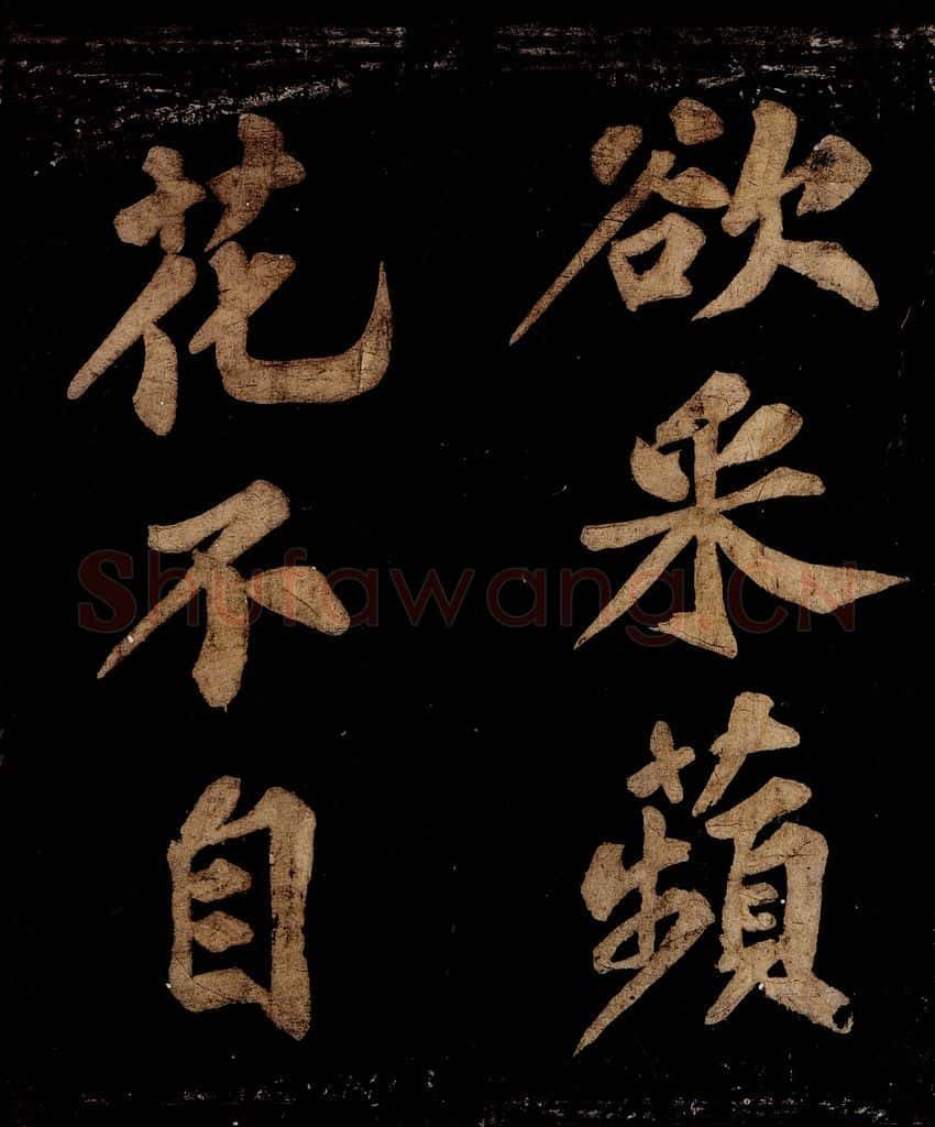 宋 王安中 七绝之五 书法作品