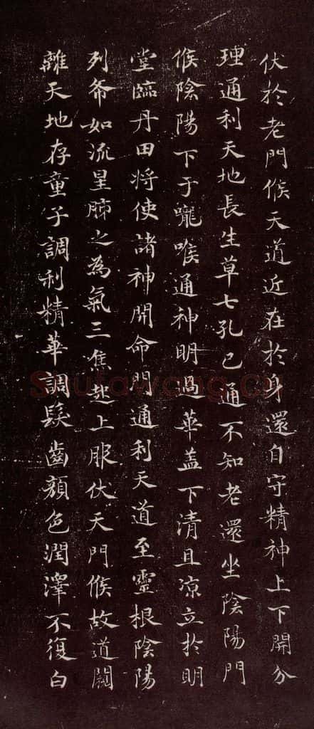 宋代 宋高宗 《临黄庭经》之八 书法作品