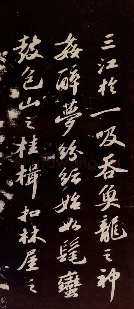 宋代 苏轼 《洞庭春色赋》之八 书法作品