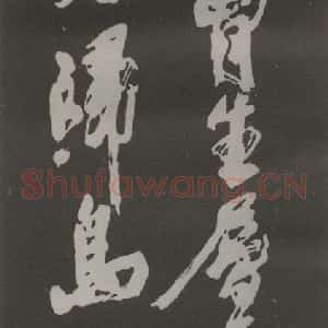现代 沙孟海 草书《杜诗荡胸十字五尺碑拓本》毛笔书法草书作品图片欣赏