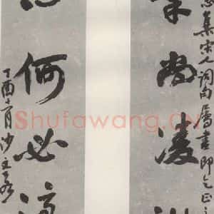 现代 沙孟海 草书《王林集宋词三尺六言联》毛笔书法草书作品图片欣赏