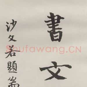 现代 沙孟海 行书《藏书文献四字扉页》毛笔书法行书作品图片欣赏