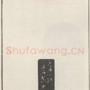 现代 沙孟海 篆书《秦康祥》毛笔书法篆书作品图片欣赏