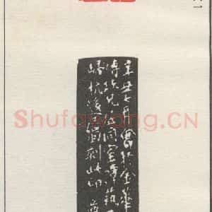 现代 沙孟海 篆书《傅玖画记》毛笔书法篆书作品图片欣赏