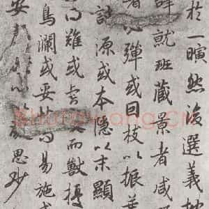 唐代 陆柬之 行楷书《唐陆柬之书陆机文赋之十四》毛笔书法行楷书作品图片欣赏