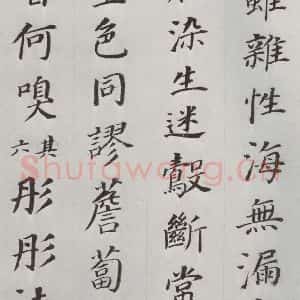明代 董其昌 楷书《临颜鲁公多宝塔碑 之六》毛笔书法楷书作品图片欣赏