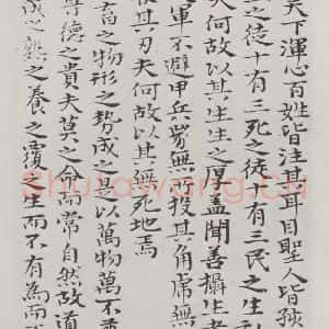 清代 元济 楷书《清元济书道德经墨迹之二十五》毛笔书法楷书作品图片欣赏