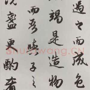 元代 赵孟頫 行楷书《赤壁二赋 之十一》毛笔书法行楷书作品图片欣赏