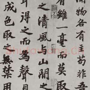 宋代 苏轼 楷书《前赤壁赋之十一》毛笔书法楷书作品图片欣赏