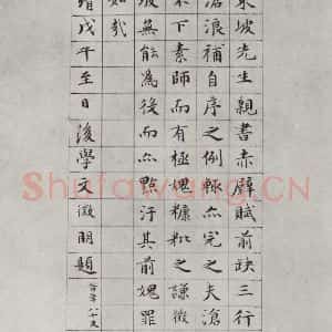 明代 文征明 行书《苏轼前赤壁赋 帖跋之一》毛笔书法行书作品图片欣赏
