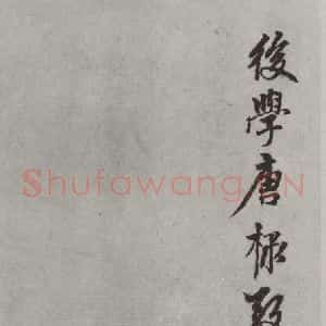 元代 康棣 行书《康棣书赵孟頫行书赤壁二赋后之二》毛笔书法行书作品图片欣赏