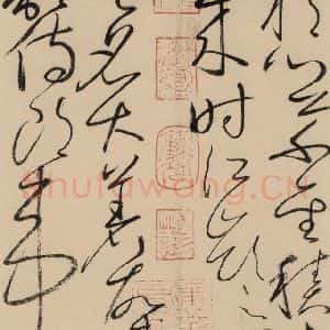 唐代 怀素 草书《自叙贴上之十三》毛笔书法草书作品图片欣赏