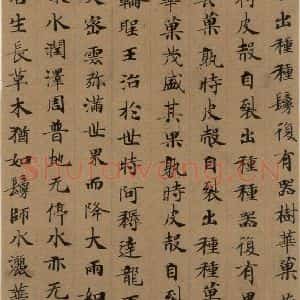唐代 唐人 楷书《唐人转轮圣王经 之十七》毛笔书法楷书作品图片欣赏