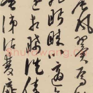 明代 陈道复 草书《古诗十九诗下之十二》毛笔书法草书作品图片欣赏