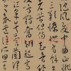 明代 王宠 草书《王宠古诗十九首 之七》毛笔书法草书作品图片欣赏