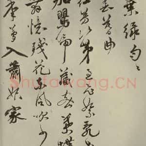 明代 祝允明 草书《诗翰 之七》毛笔书法草书作品图片欣赏