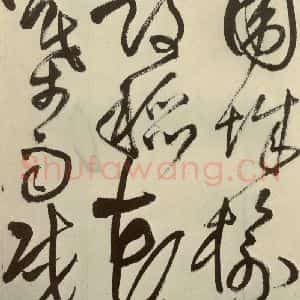 明代 王铎 草书《书诗(第六开)》毛笔书法草书作品图片欣赏