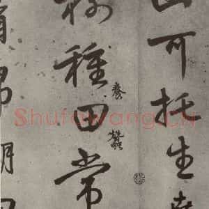 明代 陆深 行书《沛水行之十五》毛笔书法行书作品图片欣赏