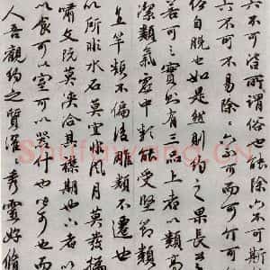 明代 祝允明 行书《可竹记 之二》毛笔书法行书作品图片欣赏