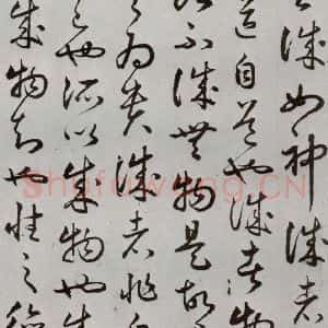 明代 豊道生 草书《古本中庸 (下)之六》毛笔书法草书作品图片欣赏