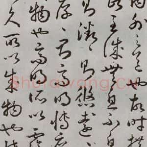 明代 豊道生 草书《古本中庸 (下)之七》毛笔书法草书作品图片欣赏