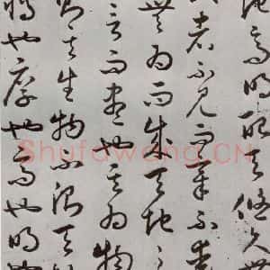 明代 豊道生 草书《古本中庸 (下)之八》毛笔书法草书作品图片欣赏