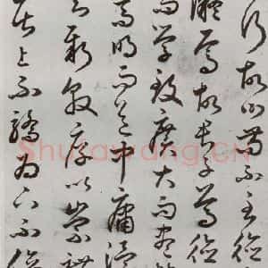 明代 豊道生 草书《古本中庸 (下)之十二》毛笔书法草书作品图片欣赏
